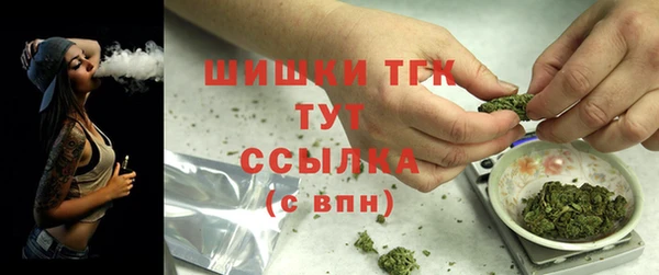 MESCALINE Каменка