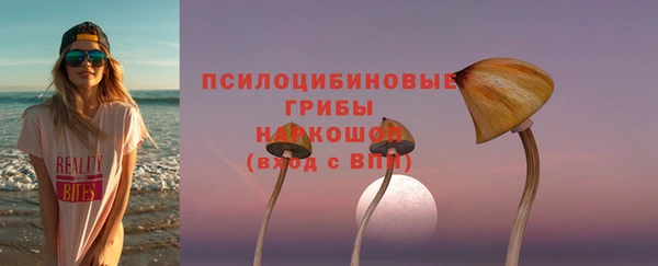 MESCALINE Каменка