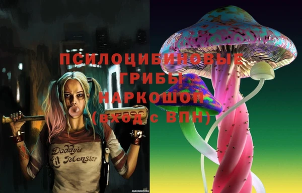 MESCALINE Каменка